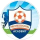 PROFESSIONAL ACADEMY logo