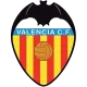 VALENCIA C.F. SOCCER ACADEMY logo