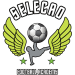 SELECAO FA logo