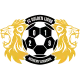 GOLDEN LIONS ACADEMY