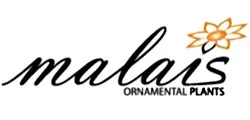 MALAIS