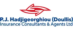 P.I. HADJIGEORGHIOU DOULLIS